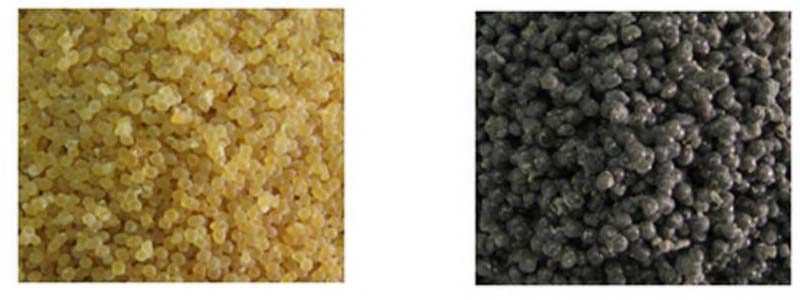 6359495662722025009879487.jpg 6359495662722025009879487.jpg